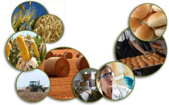 Tendencias Retos Y Oportunidades En El Sector Agroalimentario Mexicano Revista Infoagro México 3127