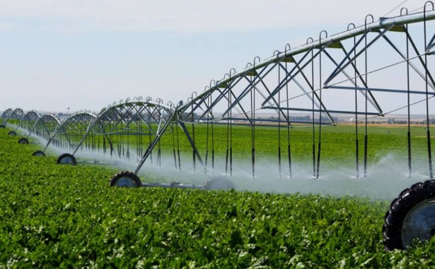 Optimización Del Agua Y Suelo Revista Infoagro México 7711