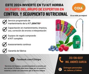 Nutrici N H Drica Y Mineral En Cultivo Hidrop Nico Revista Infoagro