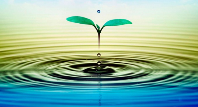 Importancia Agua en Agricultura - Revista InfoAgro
