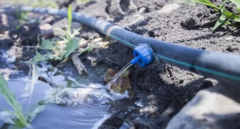 ¿cómo Mantener Segura El Agua Agrícola Revista Infoagro Méxicoemk 2697