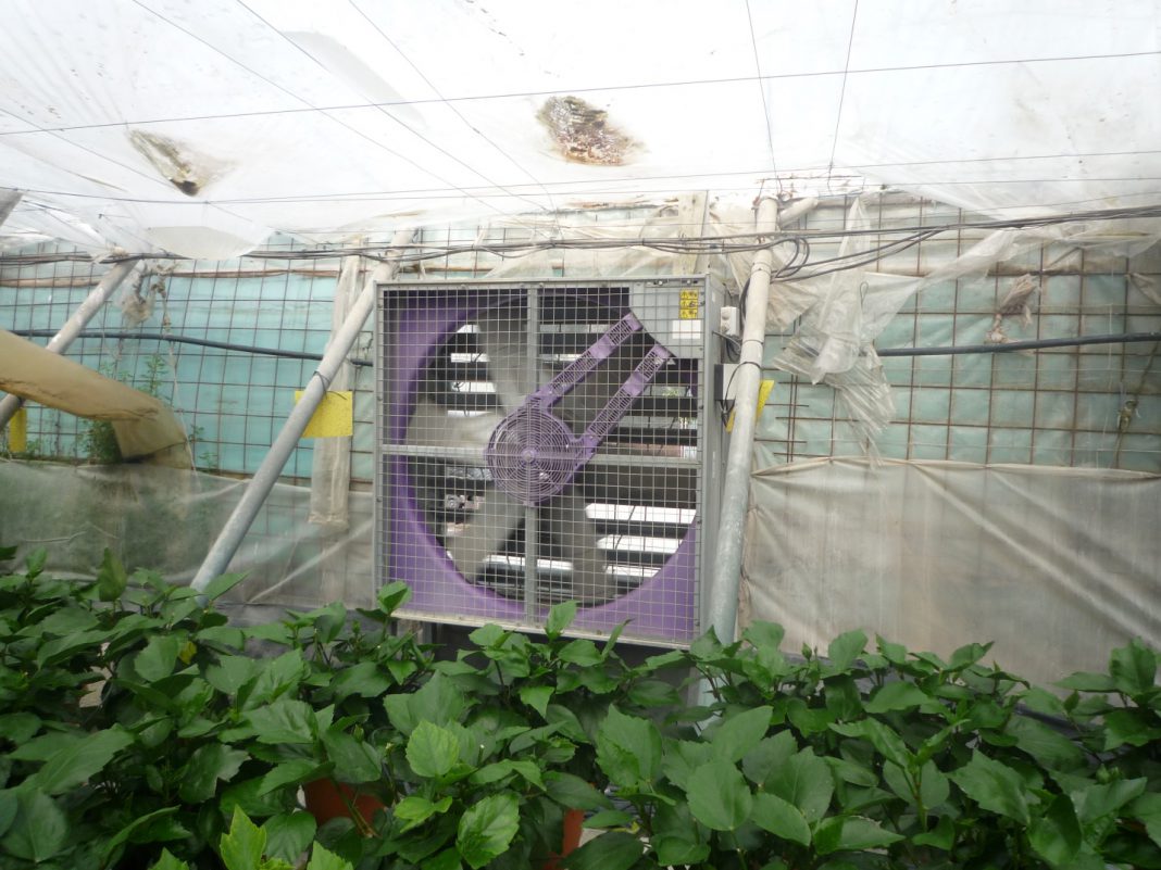 Climatización de invernaderos Revista InfoAgro México Climatización de invernaderos Revista InfoAgro México