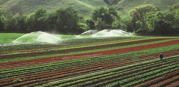 Desalinización De Agua Para Riego Por Medio De Energía Solar Revista Infoagro México 1702