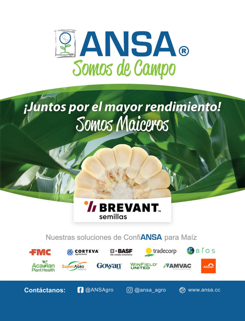 Manejo Integral De Plagas Control Biológico Y Control Químico Revista Infoagro México 9533