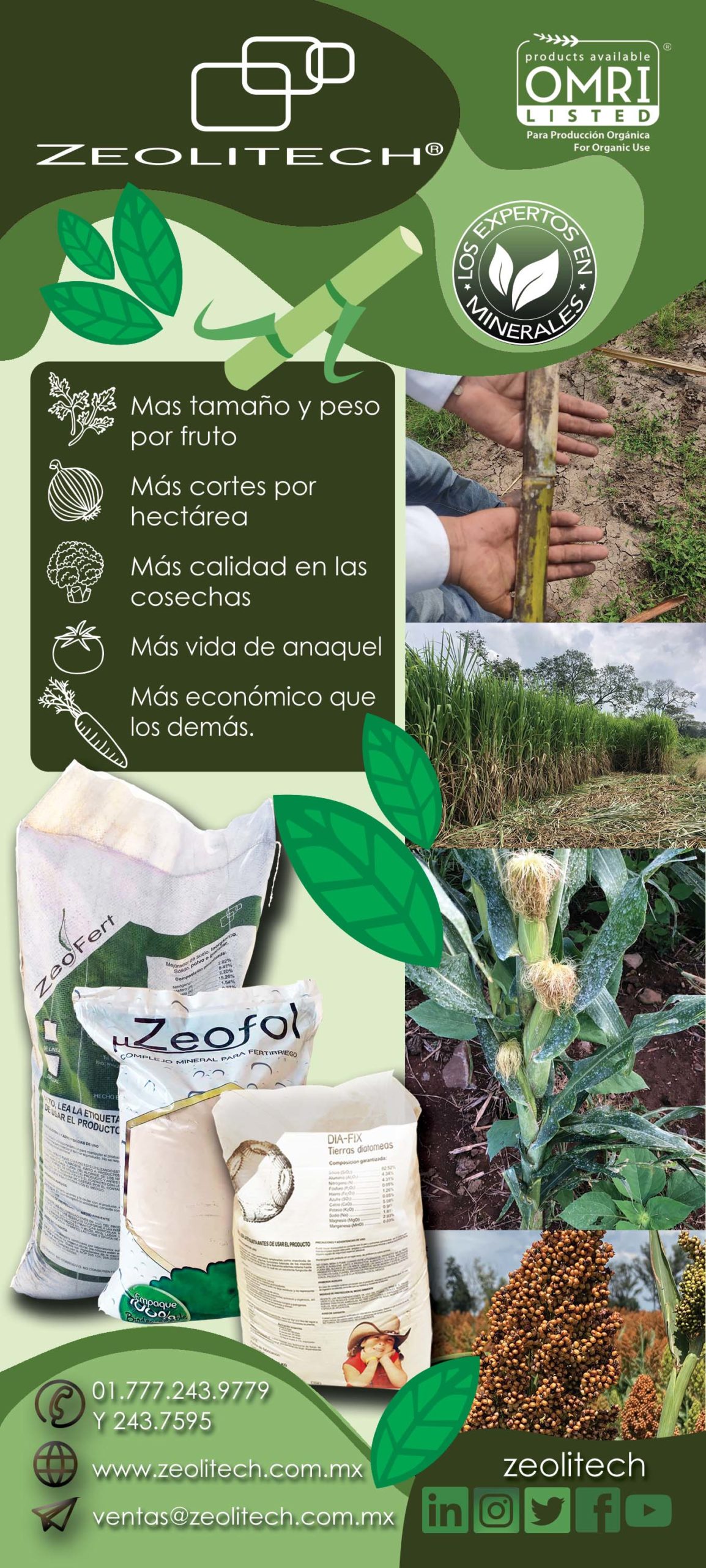 Nutrición Hídrica Y Mineral En Cultivo Hidropónico Revista Infoagro México 6967
