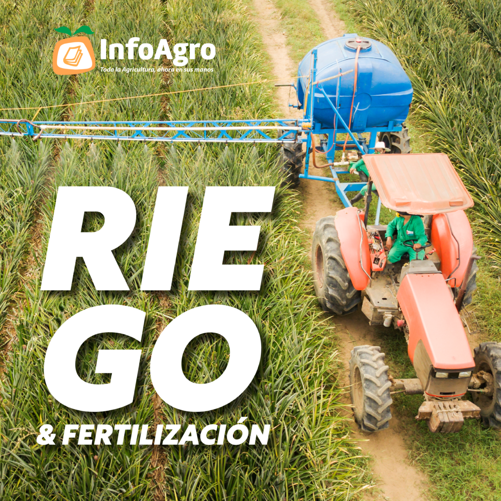 Riego en los semilleros - Revista InfoAgro México