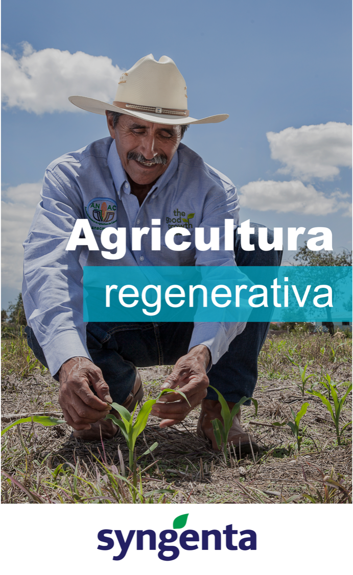 Syngenta LÍder En Agricultura Regenerativa Revista Infoagro México 3136