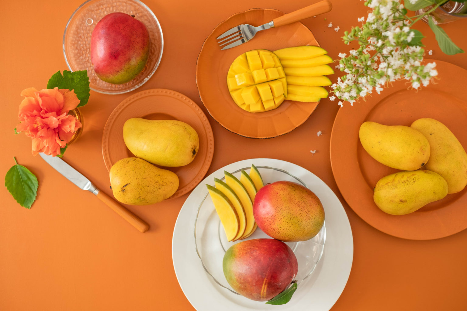 El Consumo De Mangos Tiene Un Potencial Ilimitado En Estados Unidos Revista Infoagro México 