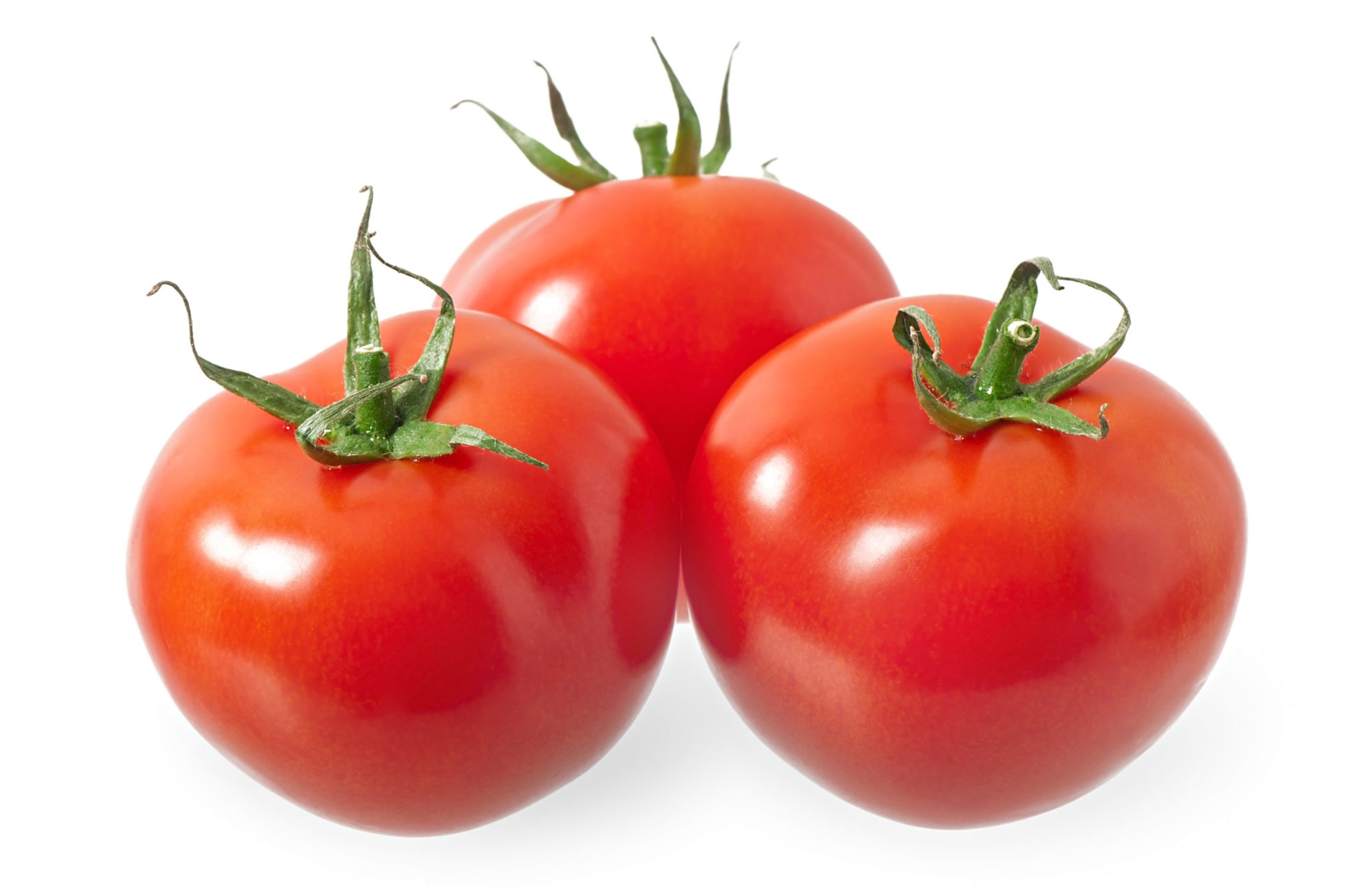 Como aumentar la producción de tomate - Revista InfoAgro México