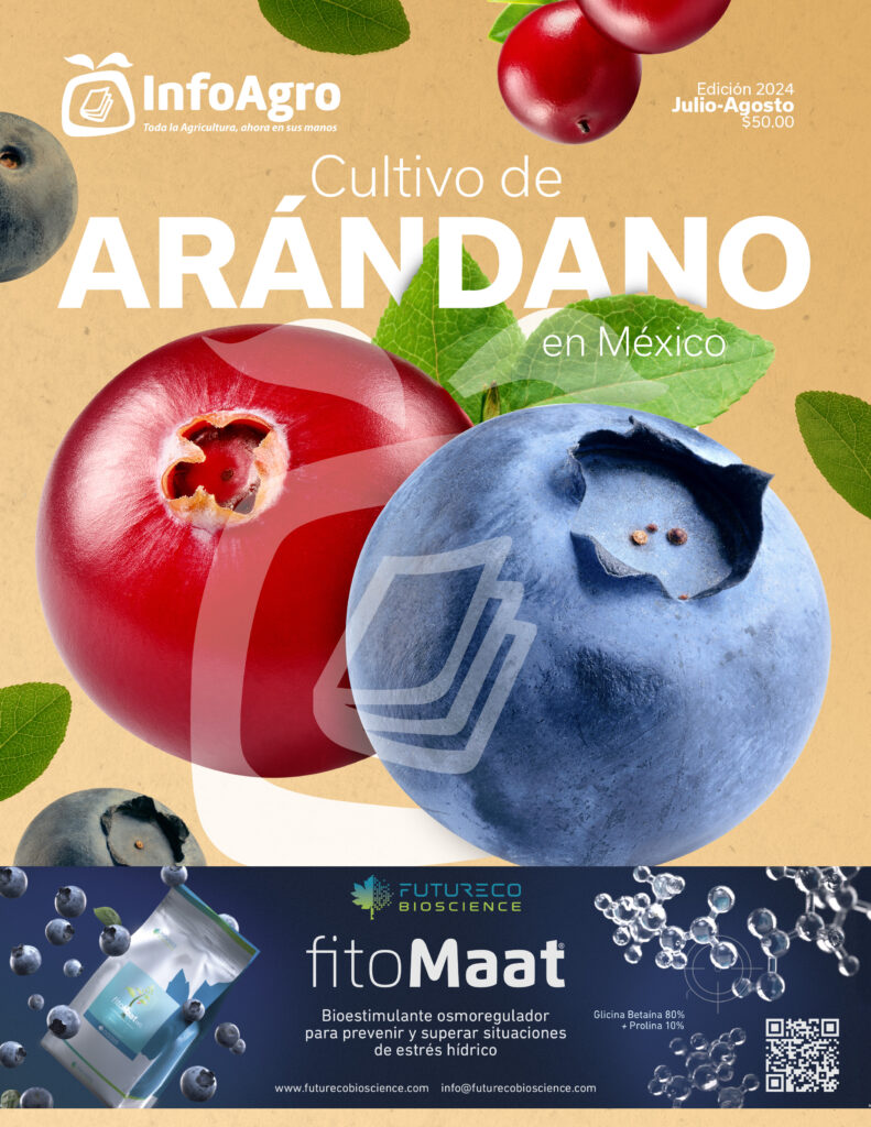 Portada revista de arandano infoAgro