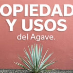 PROPIEDADES Y USOS AGAVE