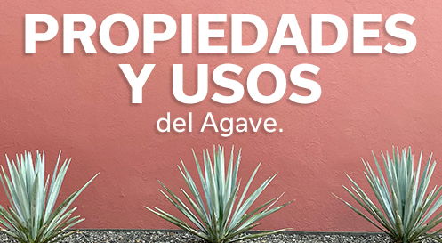 PROPIEDADES Y USOS AGAVE