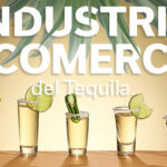 INDUSTRIA Y COMERCIO DEL AGAVE