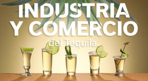 INDUSTRIA Y COMERCIO DEL AGAVE