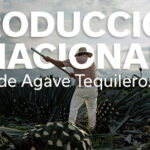 PRODUCCIÓN NACIONAL AGAVE