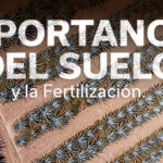 IMPORTANCIA DEL SUELO