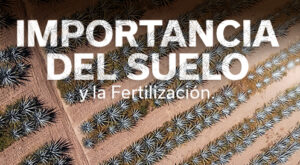 IMPORTANCIA DEL SUELO
