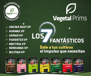 X. campestris, una bacteria muy dañina - Revista InfoAgro México