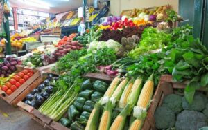 ALIMENTOS ALZA