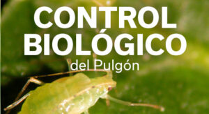 REVISTA LECHUGA