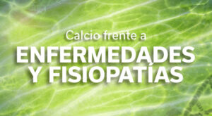 REVISTA LECHUGA