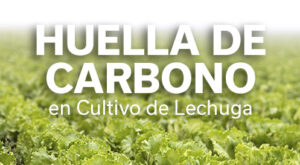 REVISTA LECHUGA