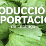 REVISTA LECHUGA