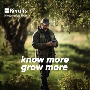 RIVULLIS AI