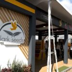 LARK SEEDS