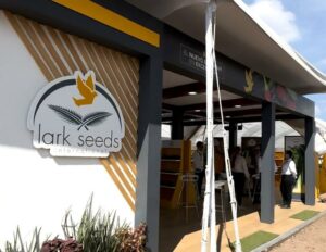 LARK SEEDS