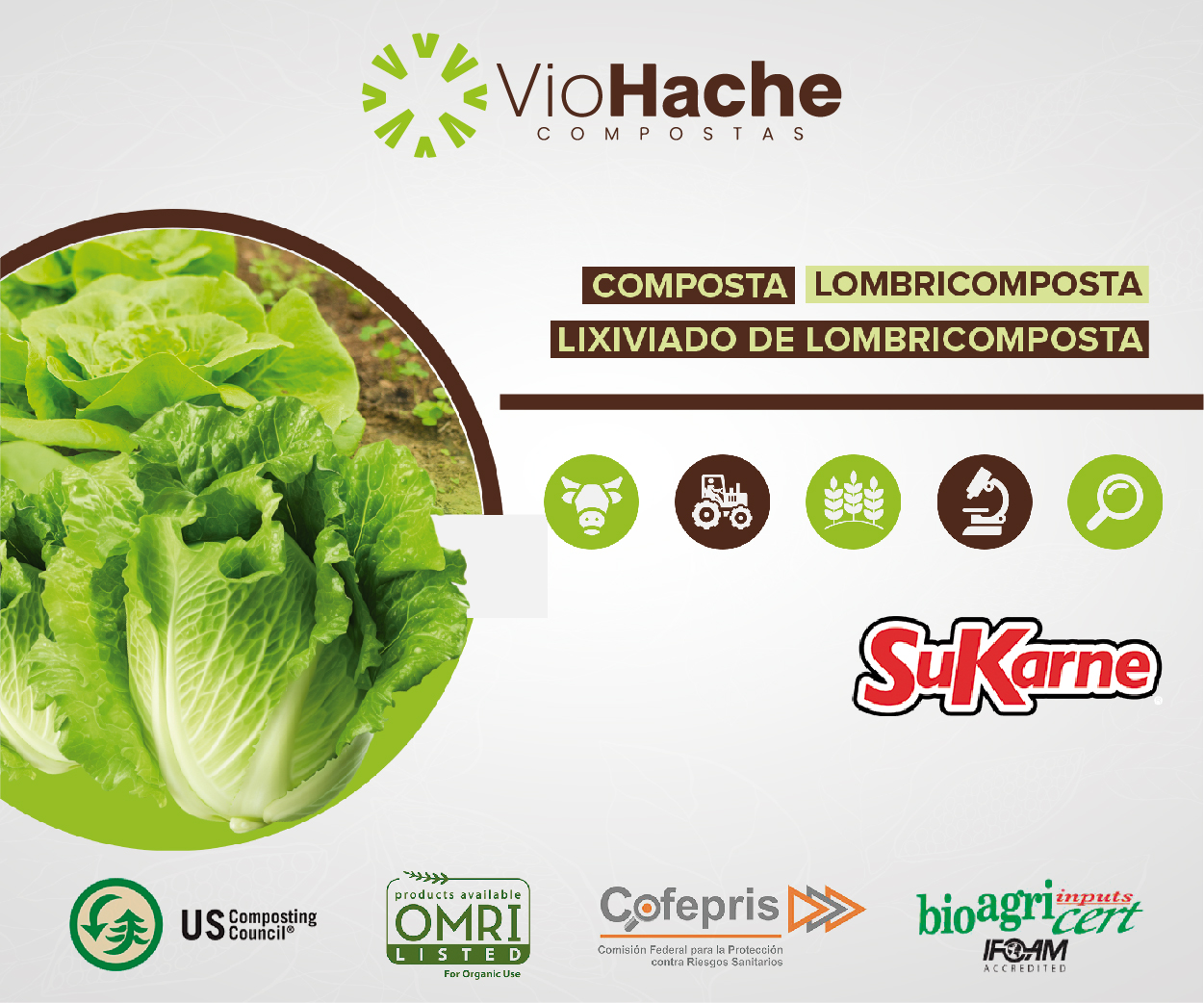 X. campestris, una bacteria muy dañina - Revista InfoAgro México