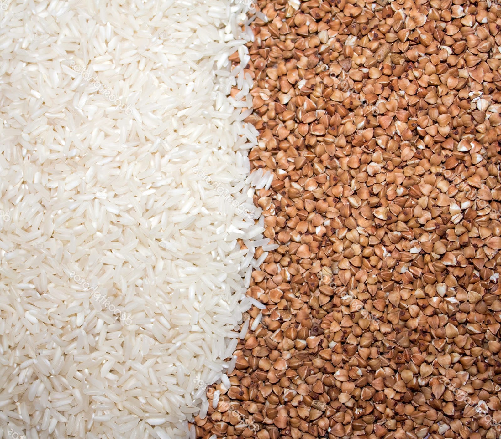 Desafíos en la producción de granos básicos - Revista InfoAgro México
