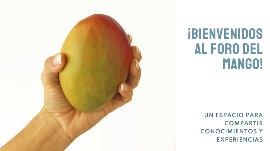 FORO MANGO