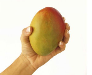 FORO MANGO