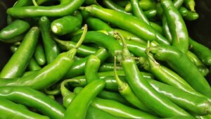 CHILE CAIDA