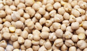 CULTIVO DE GARBANZO