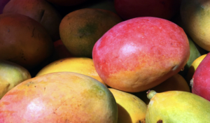 MANGO PERUANO