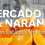 REVISTA NARANJA