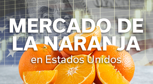 REVISTA NARANJA