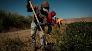 DEPORTACIONES