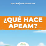 El trabajo detrás del aguacate mexicano de exportación