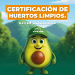 Certificación de huertos propuestos: garantía de Fito Sanidad