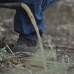 ¿Por qué un mal lavado de tu sistema de riego por goteo podría estar arruinando tus cultivos?