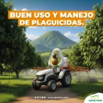 Buen Uso y Manejo de Plaguicidas en Campo