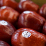 Washington Fruit Growers y Sinclair celebran más de 30 años de excelencia operativa en el etiquetado automatizado