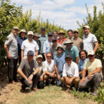 Nace el nuevo Club BabyPlum®: ocho líderes de la agroindustria chilena se unen para impulsar una nueva categoría premium de ciruelas de alto dulzor