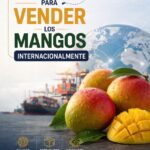 Claves para vender los mangos internacionalmente