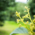 Sostenibilidad y conservación: compromiso APEAM