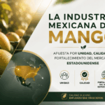 La industria mexicana del mango apuesta por unidad, calidad y el fortalecimiento del mercado estadounidense