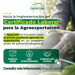 Concluye primera fase de registro del CLA para el aguacate mexicano 
